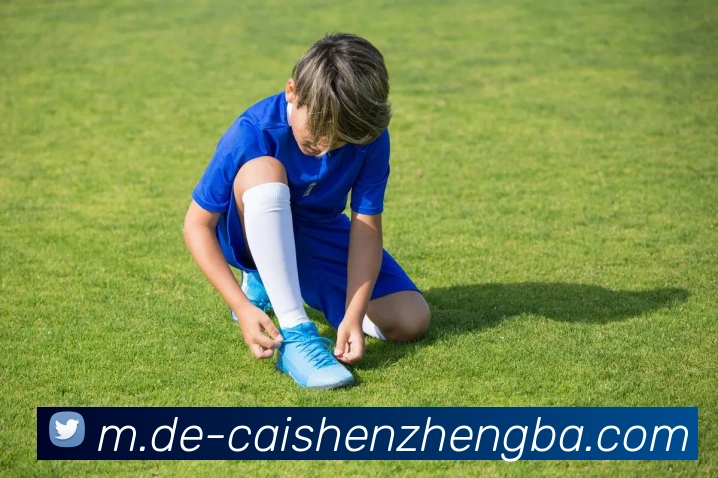 App Interface Preview